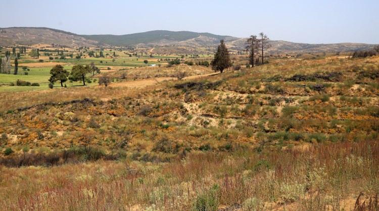 <p>Çanakkale Orman Bölge Müdürlüğü koordinesinde yürütülen yenileme çalışmaları kapsamında bölgeye dikilen fidanlar büyümeye başladı</p>