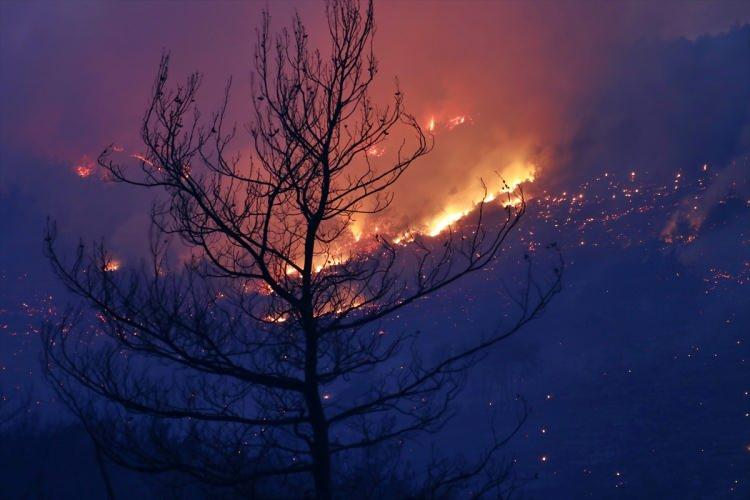 <p><strong>OSMANİYE</strong></p>
<p>Osmaniye'de çıkan orman yangını, karadan müdahaleyle kontrol altına alınmaya çalışılıyor.</p>
<p> </p>