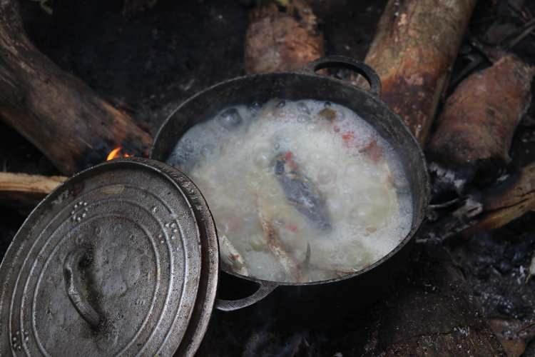 <p>Yabani meyve ağaçları Pigmeler için ana besin kaynaklarından. Safou olarak adlandırılan yabani erik, yabani mango ve fındık gibi meyveler Pigmeler tarafından günlük tüketiliyor.<br />
 </p>
