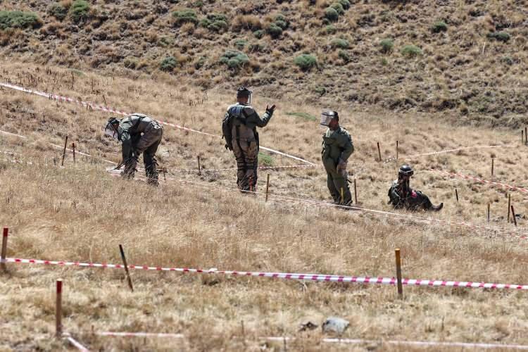 <p>Sadece 2021'de 900'ün üzerinde organizatöre adli işlem yapıldı. Bunların büyük bir kısmı da tutuklandı. </p>