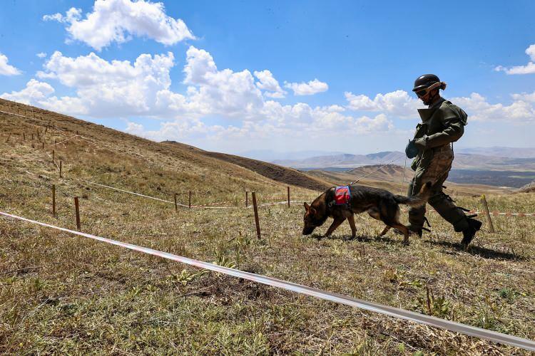 <p>Örülen duvarla sınır hattı boyunca yol inşa edileceğini ve aydınlatma sistemlerinin kurulacağını ifade eden Bilmez, şöyle konuştu:</p>
<p> </p>
<p>"Bu sene yurda giren göçmen sayısı bir önceki yıldan daha fazla değil ama toplumun duyarlılığı sanki daha fazlaymış gibi hissettiriyor. 2 yıl öncesine kadar Van'ın her tarafında göçmen görebilirdiniz. Artık bugün kent merkezinde değiller. Şok evlerini aramaya çalışıyoruz. </p>