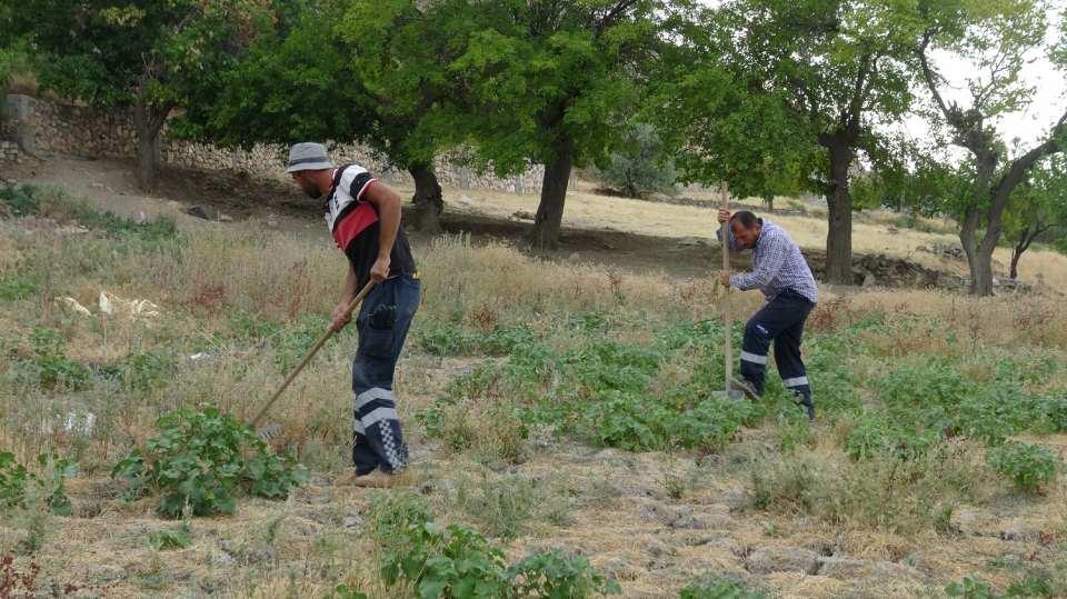 <p><strong>'İNSANA ZARAR VERMİYOR'</strong></p>

<p>Dicle Üniversitesi Biyoloji Anabilim Dalı Öğretim Üyesi Prof.Dr.  Ahmet Kılıç da Gercüş ilçesinde görülen çekirgelerin etçil olduğunu ve sadece bu bölgede görüldüğünü söyledi. Prof. Dr. Kılıç, insanlara zarar vermeyen bu çekirgelerin sadece doğadaki diğer böcek ve solucanlarla beslendiğini belirterek, yumurtalarını da kışın bıraktıklarını ifade etti. </p>
