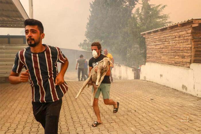 <p>Manavgat’ın Yeniköy mahallesindeki yangında alevlerin ortasında kalan evlerdeki vatandaşı jandarma ekipleri siren çalarak uyarıp tahliye etti. Bazı çiftçiler küçükbaş hayvanlarını sürü halinde önüne alarak mahalleden kaçtı</p>
<p> </p>