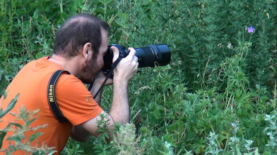 <p>Yinede bölgenin kelebek zenginliğini görmek için kelebek gözlemcilerini, doğa fotoğrafçılarını her zaman bölgemize bekleriz” diye konuştu.</p>
