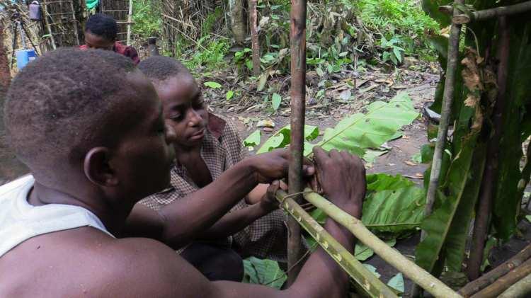 <p>Kamerun hükümetinin, Pigmelerin yerleşik hayata geçmesi için uygulamaya koymak istediği entegrasyon çalışmaları başarıya ulaşmıyor.<br />
</p>