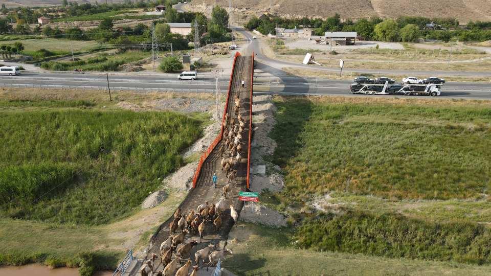 <p>Türkiye'de örnek proje olarak gösterilen ve ilk kez Erzincan'da yapılan çelik konstrüksiyon üzerine inşa edilen üst geçit ile yaralamalı ve ölümlü trafik kazalarının önüne geçilmesi hedefleniyor.</p>
<p> </p>