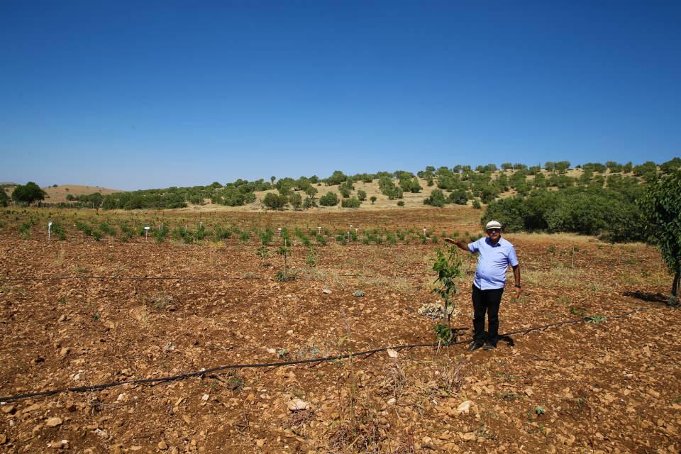 <p>Asıl mesleğinin inşaat olduğunu ifade eden Bulut, bahçede sakin bir ortam sağlayıp, şehrin stresinden uzaklaşıp toprakla uğraşmanın kendisini rahatlattığını kaydetti.</p>
<p> </p>