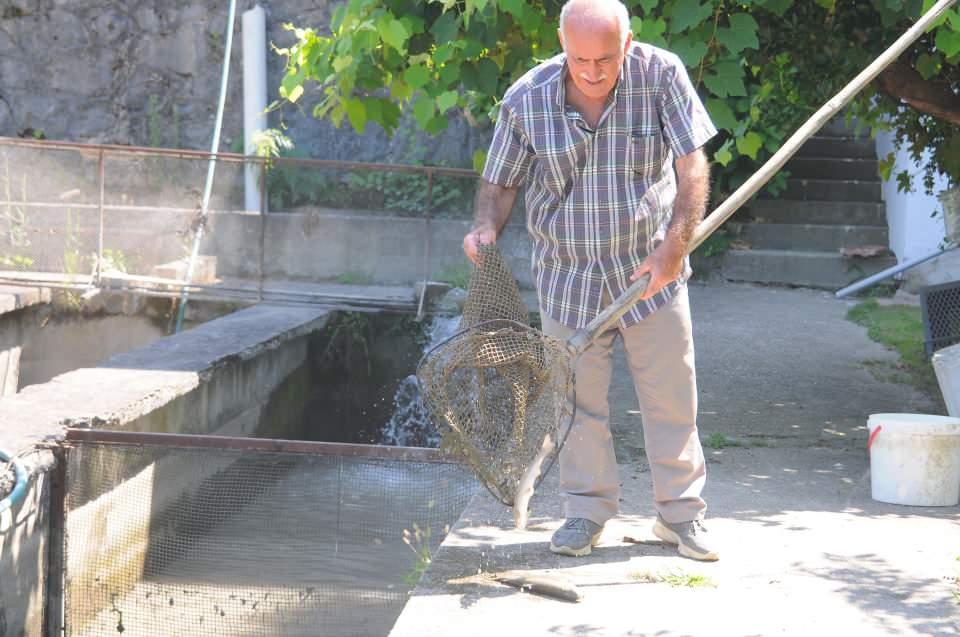 <p>İşletme sahibi Deniz Bakar, “Bu su 3 ay öncesine kadar masmavi bir şekilde akardı. Bir sabah geldiğimizde suyun çok kirli aktığını gördük. </p>