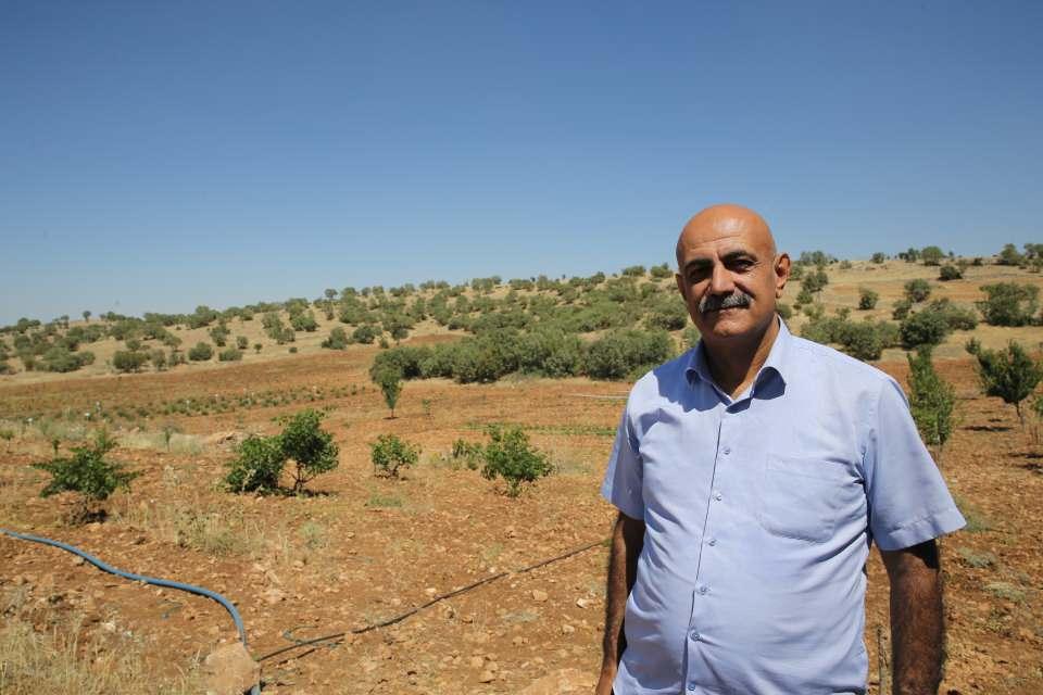 <p>Mardinli müteahhit Vedat Bulut, Mazıdağı ilçesinde hobi amaçlı üretim için satın aldığı atıl araziyi 61 çeşit meyve yetiştirilecek bahçeye dönüştürdü.</p>
<p> </p>