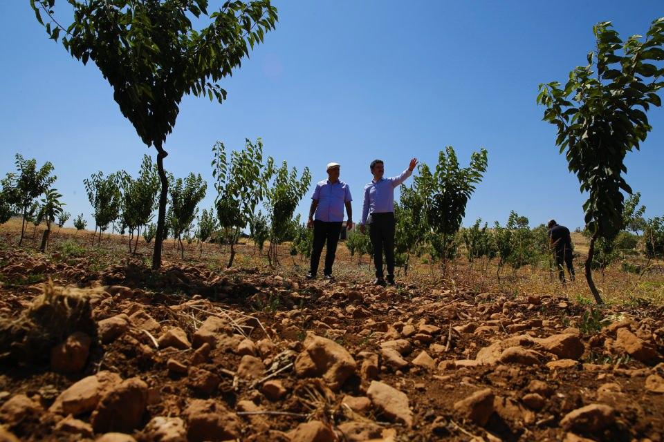 <p>İşe hobi amaçlı başladığını ancak zamanla hedef büyüttüğünü anlatan Bulut, "İnşallah zamanla burada güzel bir bahçe oluşur. Herkes örnek alıp, uygular. Burada ne ekilebilir görmek istiyorum.</p>
