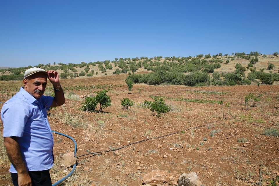 <p>Yıllarca müteahhitlik yapan Bulut, Mazıdağı'nın kırsal Tarlacık Mahallesi'nde 7 yıl önce atıl 20 dönüm arazi satın aldı.</p>
<p> </p>