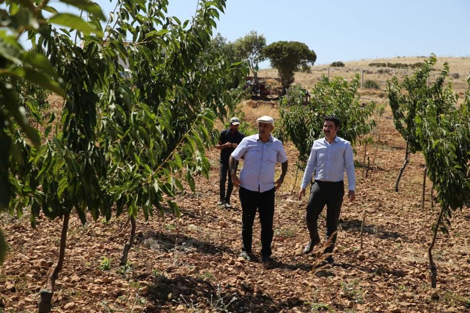 <p>Bahçeye su kuyusu açtırdığını, elektrik ihtiyacını gidermek için güneş paneli kurduğunu belirten Bulut, bahçenin bakımı için de bir kişiyi istihdam ettiğini dile getirdi.</p>
<p> </p>