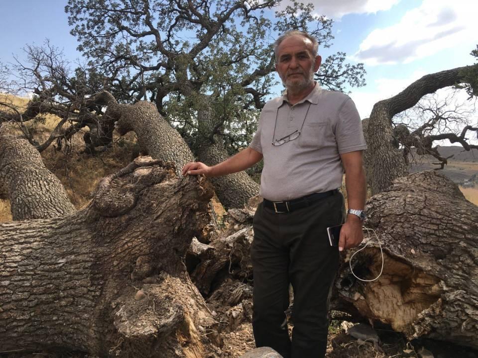 <p>Bu ağaçların böyle bir hikayesi var ama neden böyledir bu bilinmez” dedi.</p>