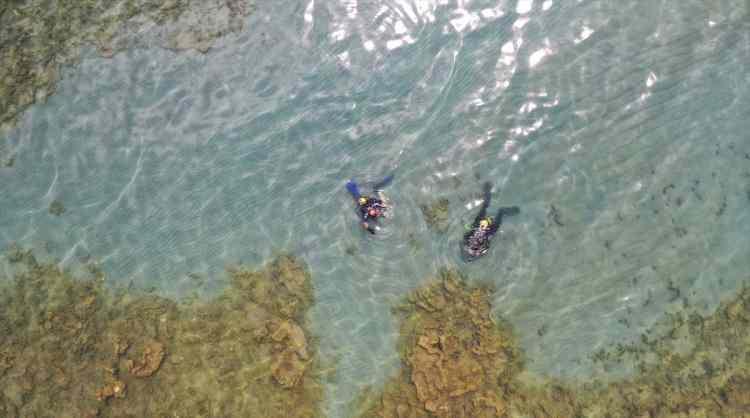 <p> Bugün hakikaten yeni keşfettiğimiz farklı bir mikrobiyalit türü de ortaya çıkmış oldu. Buda şunu gösteriyor 3 ayrı türe rastlamış olduk. Daha önceden 2 tür vardı. </p>
