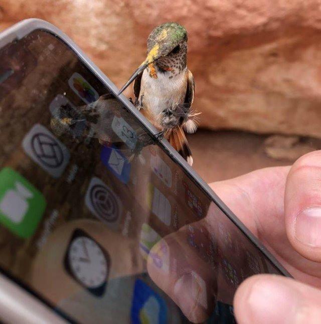 <p>İşte sosyal medyada paylaşım rekorları kıran 'Güzel Dünya' etiketiyle paylaşılan fotoğraflar...</p>
