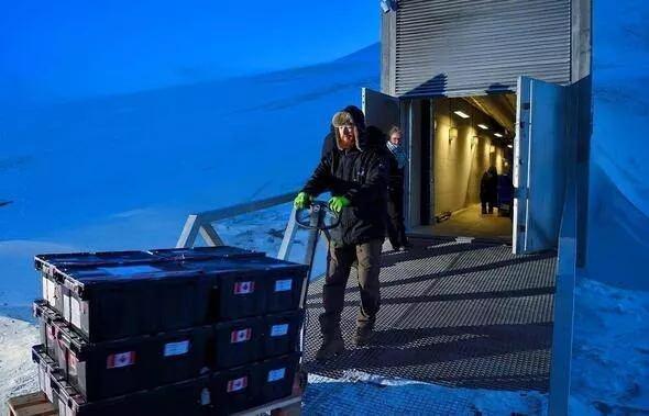 <p><strong>Svalbard tohum deposu</strong></p>

<p>Resmi adı Svalbard International Seed Vault olarak bilinen depo, ürün çeşitliliğini korumak ve insanlara bir gıda kaynağı bulmalarını sağlamak amacıyla tohum depolamak üzere tasarlanmış bir yer.</p>
