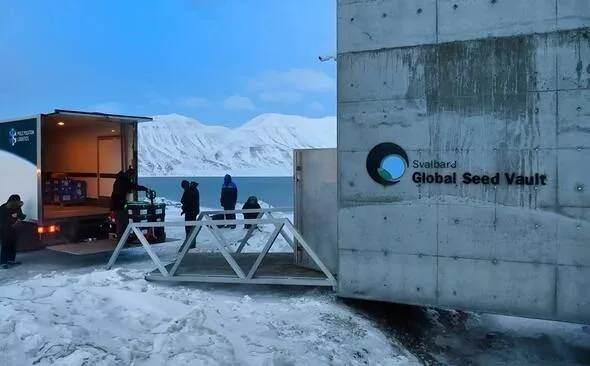 <p>Svalbard, Arctic Circle’daki büyük, bir kaya adası durumunda ve depo bir madenin içinde bulunuyor.</p>
