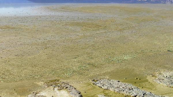 <p>Son yıllarda suyu hızla çekilen ve kuruma tehlikesiyle karşı karşıya olan Burdur Gölü'nde alg patlaması oldu. Bu yıl nisan ve haziran aylarında da aynı olayın yaşandığı gölde, suyun rengi yer yer kahverengi ve sarıya döndü.</p>

<p> </p>
