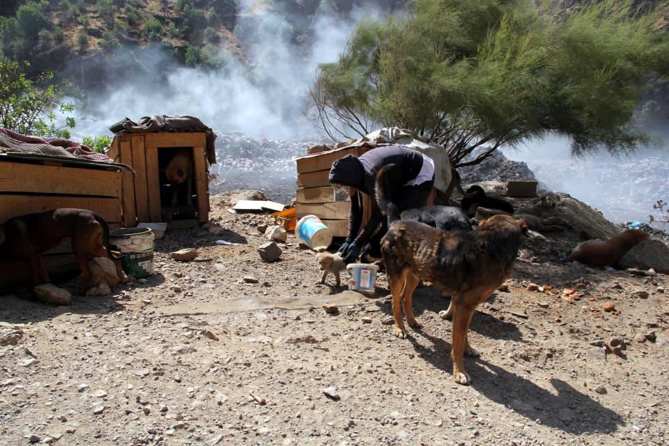 <p><strong> BAKIMLARINI DA YAPIYOR</strong></p>

<p>Eda Kırkıcı Yıldız, dersi biter bitmez köpeklerin beslenmesi için yanına malzemelerini alarak aracıyla hayvanların yoğun olduğu mevkiye gidiyor. </p>
