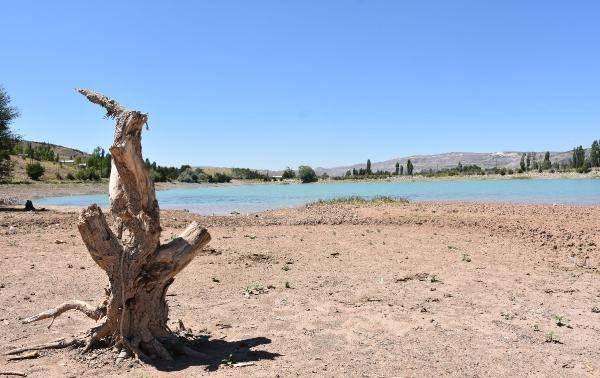 <p>Sivas'ta, kent merkezi yakınlarında bulunan Serpincik Göleti'nin suyu, kıyıdan 30 metre çekildi. Su altında kalan ağaç köklerinin ortaya çıktığı gözlendi. </p>