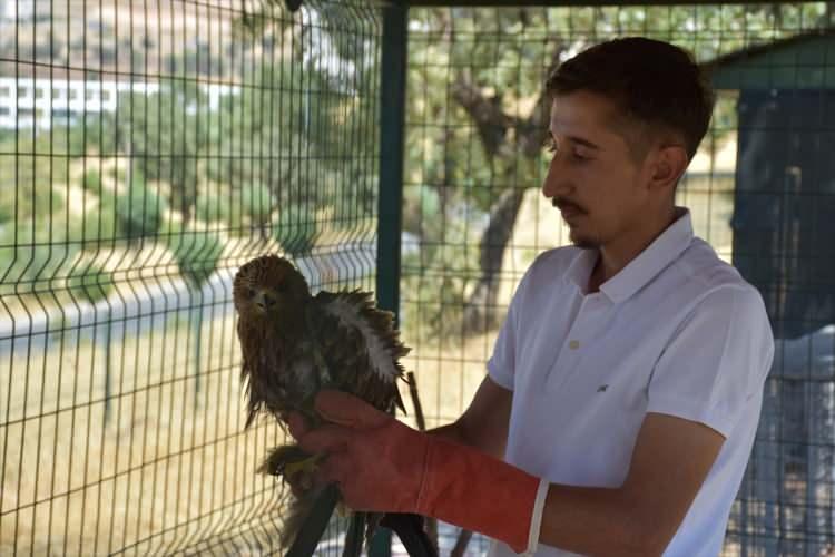 <p>Doğa Koruma ve Milli Parklar Şube Müdürlüğüne teslim edilen 5 kızıl şahin ve 2 baykuş, Şırnak-Siirt yolunun 20. kilometresinde doğaya bırakıldı.</p>
<p> </p>
