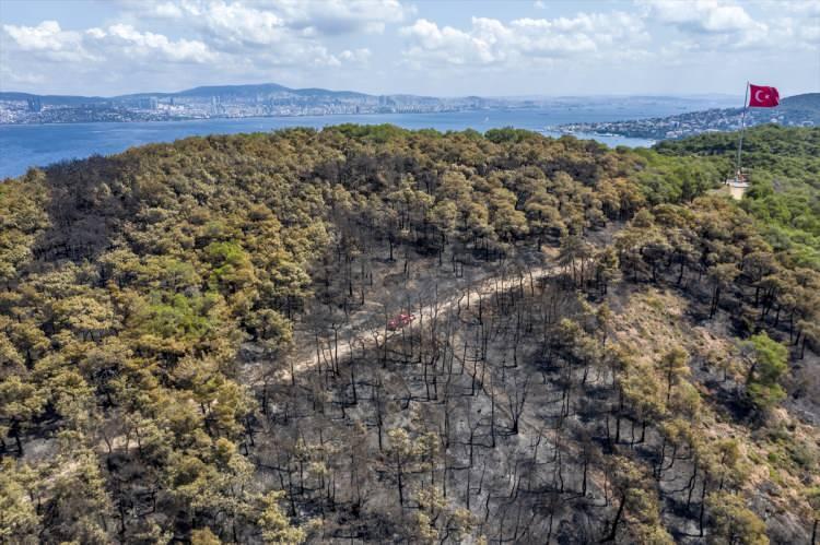 <p><strong>- Yangının çıkış sebebine ilişkin soruşturma sürüyor</strong></p>
<p>Ormanlık alandaki yangının çıkış sebebine ilişkin soruşturma Adalar İlçe Emniyet Müdürlüğü ekiplerinin çalışmalarıyla devam ediyor.</p>