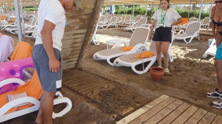 <div>“Eski adıyla Çevre ve Orman Bakanlığı'nın 2009/10 sayılı Deniz Kaplumbağaları’nın Korunması Genelgesi'nde yer alan 'denizden itibaren ilk 65 metrenin yuvalama bandı olarak ayrılması ve bu alanda kumsal kullanımının gerçekleştirilmemesine’ ilişkin maddesinin ne kadar önemli olduğunu bir kez daha ve acı bir şekilde görüyoruz. Yuvalama kumsallarında yer alan işletmelerin yuvalama sezonu olan mayıs-ekim ayları arasında kumsal çalışmalarını yapmaması oldukça önemli. Kumsallardaki sorunlar elbette ki sadece bu değil. Kaplumbağalar sadece doğal tehlikelerle değil, yapay ışık kullanımından, denizel- karasal kirliliğe, kontrolsüz atılan balıkçı ağlarına kadar birçok insan kaynaklı sorunla da mücadele ediyor. Ve bütün bunlar 110 milyon yıldır yaşamını sürdüren kaplumbağaların neslini tehlikeye sokan faktörlerin başında geliyor."</div>

<div> </div>
