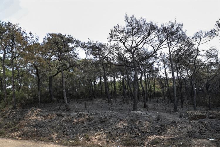 <p>Bisiklet kiralayarak ormanlık alanlarda dolaşan kişileri de inceleyen ekipler, ayrıca herhangi bir olumsuzluğa karşı devriye görevlerine devam ediyor.</p>