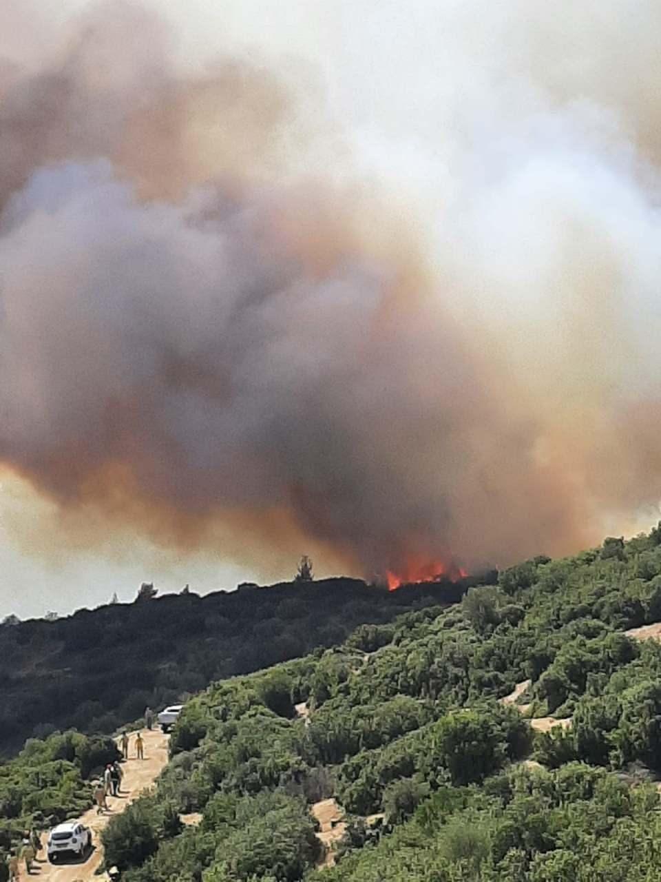 <p>Alemşah ile Tavaklı köyü arasındaki ormanlık alanda saat 15.30 sıralarında dumanları gören köylüler, durumu 177 ALO Orman Yangın İhbar Hattı’na bildirdi. </p>