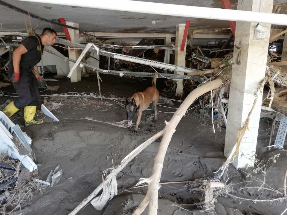 <p><strong>"Köpeğimizi hiçbir koku etkilemiyor, her yerde ceset tespit edebilir"</strong><br />
<br />
Kadavra köpeğiyle çalışırken birçok koku ile de beraber çalıştıklarını aktaran Biyen, "Köpeğimiz farklı kokulara aşina olduğu için yanlış bir yere tepki vermesi olağan bir şey değil. Şu ana kadar hiç karşılaşmadık. Köpeğimiz eğer su da tepki veriyorsa mutlaka o bölgede ceset kokusu almıştır. Suya lağım karışmıştır veya farklı kokular karışmıştır. Bunlar bizim daha önceden çalıştığımız bir yöntem olduğu için köpeğimizi diğer kokular herhangi bir şekilde etkilemiyor. Çünkü köpeğin bilinç altında sadece ceset kokusu var. Başka kokulara yönelmiyor" şeklinde konuştu.</p>

<p> </p>
