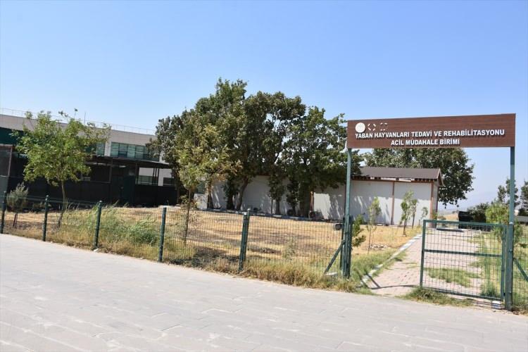 <p>Şırnak'ta arazide yaralı bulunan 5 kızıl şahin ve 2 baykuş tedavilerinin ardından doğaya salındı.</p>
<p> </p>