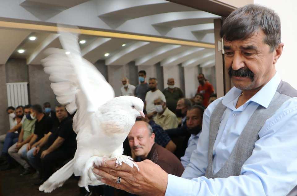 <p><strong>ŞEBAP GÜVERCİN </strong></p>
<p>Şebap güvercin, taklacı güvercin türlerindendir. Arapça kökenli bir kelime olan şebab 'güzel genç' anlamına gelir. İsminden de anlaşılacağı üzere Şebap güvercinlerin en önemli kriterlerinden biri güzel olmalarıdır. Tam bir kostüm kuşudur.</p>