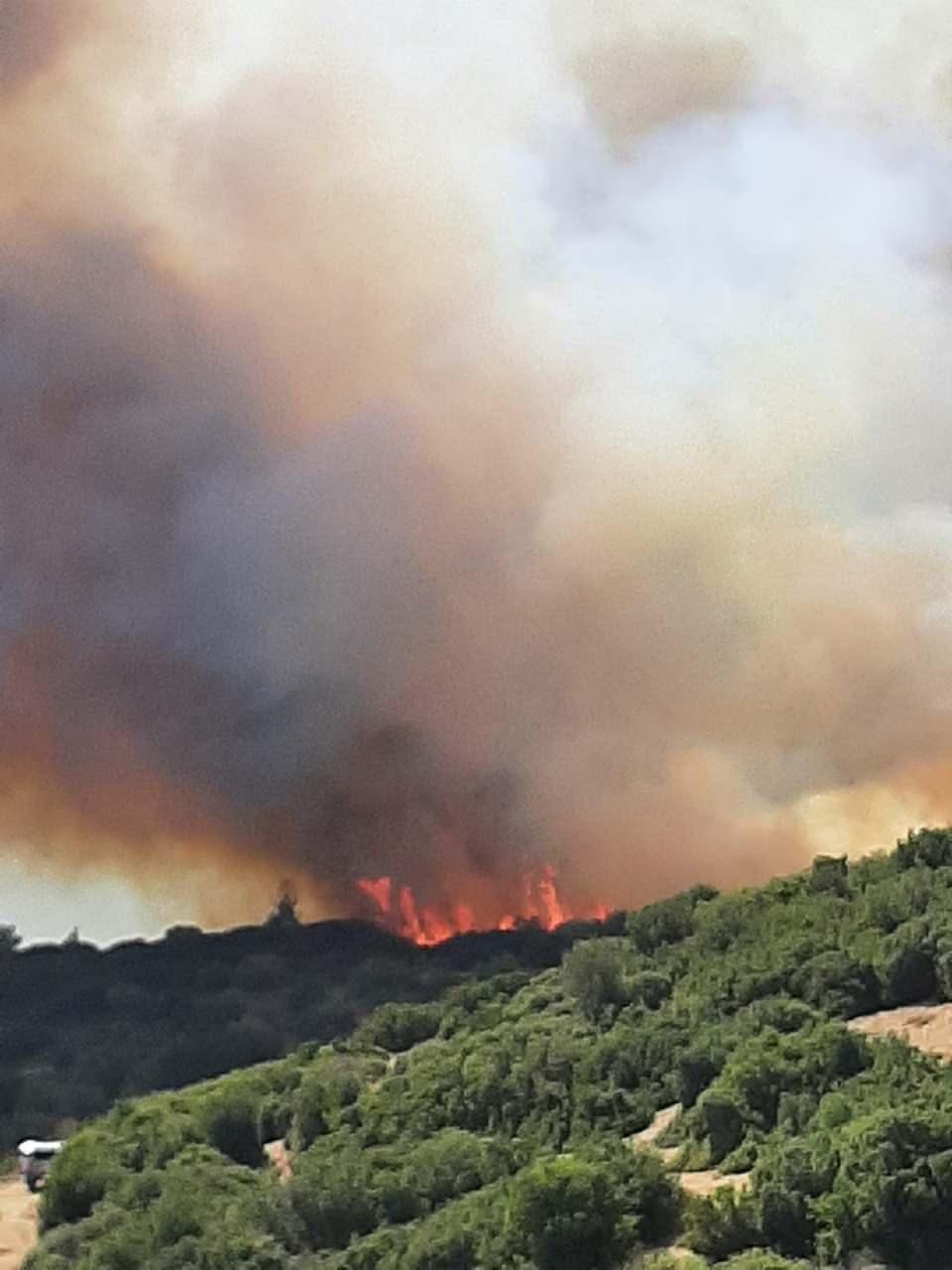 <p>Çanakkale’nin Ezine ilçesine bağlı Tavaklı köyünde çıkan orman yangınını söndürme çalışmaları sürüyor. Bölgede 1 ay içerisinde 10'uncu kez orman yangını çıktı.<br />
</p>
