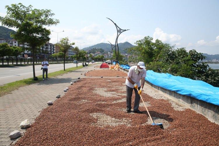 <p>Hava şartlarının, bir süredir fındık kurutmak için müsait olmadığını dile getiren Hakyemez, "Havalar hep kapalıydı, bulutlu ve yağmurluydu, daha yeni yeni hava güneşli, inşallah güneşle birlikte kuruyacak. Daha sonra da hemen satmayı düşünüyoruz." dedi.</p>