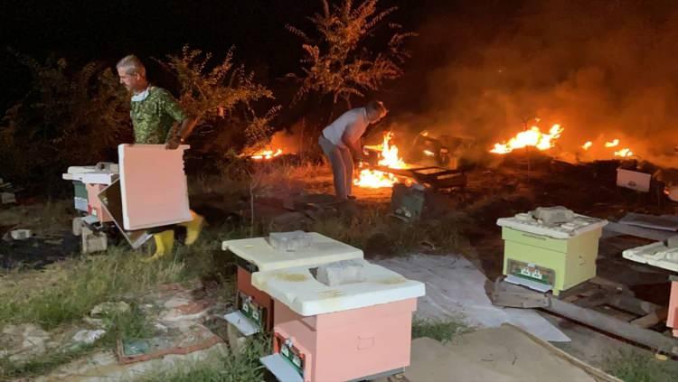 <p><strong>Edirne</strong>'nin Karayusuf köyünde arı kovanlarının bulunduğu yerde çıkan yangında binlerce arı saniyeler içerisinde yanarak telef oldu.</p>
