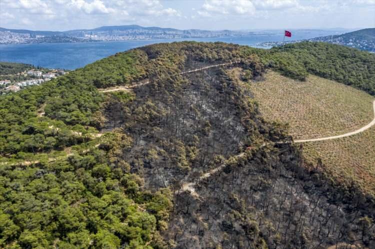 <p>Heybeliada'da 21 Ağustos'ta ormanlık alanda çıkan, karadan ve havadan yapılan müdahalelerle aynı gün söndürülen yangının ardından Orman Genel Müdürlüğü ile itfaiye ekiplerinin tedbir amaçlı bölgedeki bekleyişi sürüyor.</p>
