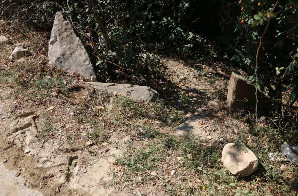 <p><strong>'BİZ MİSAFİRİZ, ONLAR EV SAHİBİ' </strong></p>
<p>Bahçesinde şehit mezarı bulunan Ekrem Koçak ise, "Mezar 100 yıldır burada. Bize çok duygulu anlar yaşatıyor. Biz ona çok iyi bakıyoruz. Burada şehit olmuşlar. Burada 2-3 tane asker yattığını düşünüyoruz. Biz burayı kazdığımızda kemikleri gördük, üniformaları vardı. iki gözümüz gibi bakıyoruz. Devlet taşımak istese de vermeyiz. 80 yaşında annem var, her gece şehidimizle konuşuyor. </p>
