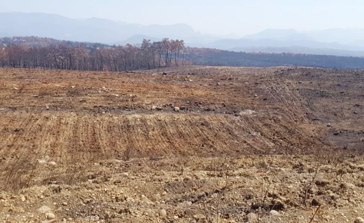 <p>Antalya'da 28 Temmuz'da başlayıp 10 gün sonra söndürülen yangının ardından bir yandan yeni bitkiler filizlenirken, bazı bölgelerde ise 25 gün sonra bile için için yanmaya devam eden ağaç köklerinden duman tütmeye devam ettiği belirtildi.</p>
