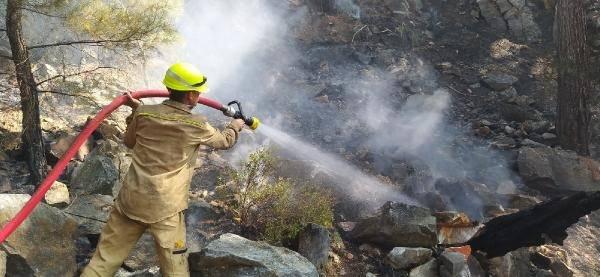 <p>Alevlere havadan 4 yangın söndürme uçağı ve 17 helikopter, karadan ise 47 arazöz ile 250'den fazla orman işçisiyle müdahale edildi.</p>