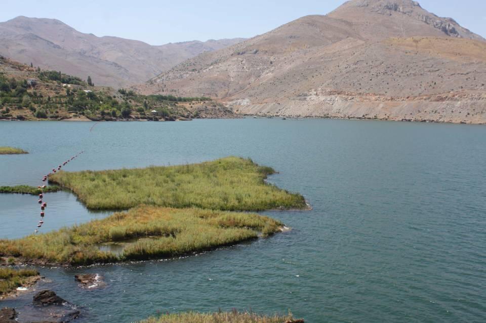 <p>Çelikhan'ın Petelik mevkisindeki Çat Baraj gölünde, oluşumları yaklaşık 3 bin yılda tamamlanan, su altındaki yükseklikleri 3 ile 5 metre, alanları ise 100 ile 500 metrekare arasında değişen çok sayıda yüzen ada yer alıyor. </p>
