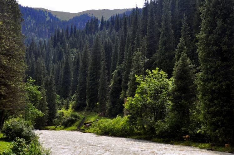 <p>Turizm şirketleri, Çolpon-Ata şehrine 40 kilometre uzaklıktaki Semenovka Yaylası gezisini, Grigorievka ve Ananyevo yaylalarından dönüşte gerçekleştiriyor. Küngey Alatoo zirvesinin yakınında yer alan ve ani hava değişimlerinin yaşandığı Semenovka Yaylası hızlı akan nehir, görkemli kaya yamaçları ve şelalesiyle ilgi çekiyor.</p>
