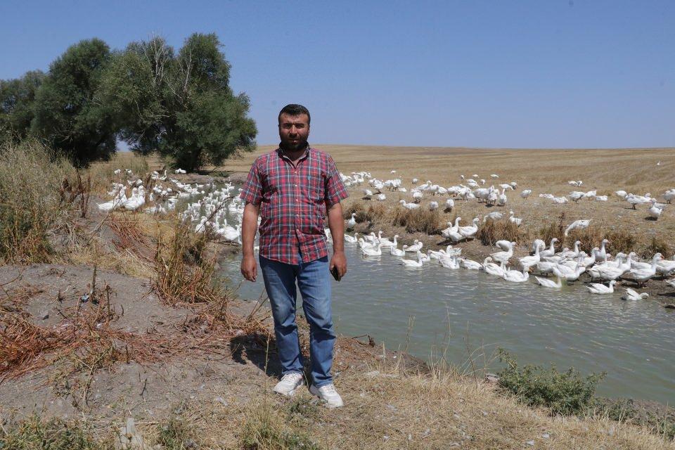 <p>Bankalar büyükbaş hayvana avantajlı kredi sağlarken kaz üreticilerine sağlanmıyor. Bu nedenle devletimizden bu konuda destek bekliyoruz."</p>

<p> </p>

