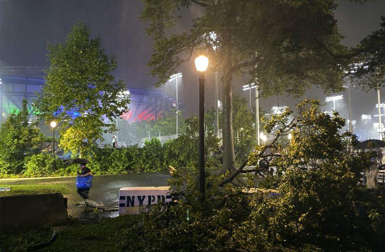 <p>New York Polis Komiseri Dermot Shea, New York’ta hayatını kaybedenlerin 8’inin Queens semtinde bulundukları konutların bodrum katında olduğunu aktarırken, 1 kişinin ise New York’u Long Island'a bağlayan Grand Central Parkway'de bir trafik kazasında hayatını kaybettiğini belirtti.</p>
