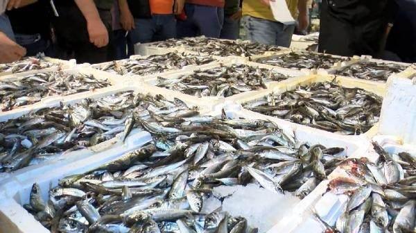 <p>Sezonun açılmasıyla Gürpınar Balık Hali'nde ilk mezatlar gerçekleşti</p>
<p>Denizlerde 15 Nisan'da başlayan av yasağı 1 Eylül itibarıyla sona erdi. Balıkçılar gece yarısı 'Vira Bismillah' diyerek ilk ağlarını suya attı.</p>