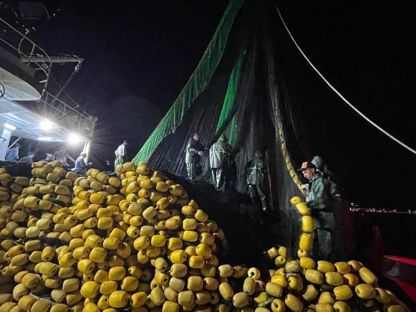 <p>kşam saatlerinde Poyrazköy Balıkçı Barınağı'nda İstanbul Valiliği ve İl Tarım Ve Orman Müdürlüğü tarafından açılış töreni ile sezon açıldı. Elmas Kardeşler isimli av gemisi Marmara Denizi'ne açıldı. Gemiye Balıkçılık ve Su Ürünleri Genel Müdürü Mustafa Altuğ Atalay, Tarım ve Orman Bakanlığı İstanbul İl Tarım Müdürü Ahmet Karaca, Beykoz Belediye Başkanı Murat Aydın, Beykoz Kaymakamı Esengül Korkmaz binerek açıldı. </p>