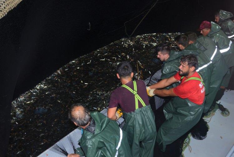 <p>Gece saatlerinde Ordu sınırlarında açılan balıkçıların yüzü istavrit balığı ile güldü. Kışlaönü Balıkçı Barınağı’ndan açılan balıkçı teknesi, denize attığı tek ağda yaklaşık 4 tona karşılık gelen 250 kasa civarında istavrit yakaladı.</p>