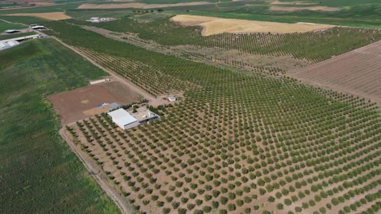 <p>Kıraç araziye "badem ve fıstık dikin" tavsiyesi</p>

<p>Çiftçilere yeni ürünlere yönelmesi tavsiyesinde bulunan Akyıldız, "Özellikle kıraç diye tabir ettiğimiz araziler kesinlikle bahçeye dönüştürülmeli, badem veya fıstık fark etmiyor." dedi.</p>

<p>Bahçede çalışan Şirin Baran ise önceki yıllarda mevsimlik işçi olarak başka bölgelere gittiklerini belirterek, "Memleketimiz için bir yatırım, böyle yatırımların olması gayet iyi." ifadelerini kullandı. İşçilerden Ayşe Demir de üniversite sınavına hazırlandığını, kendi emeğiyle kazandığı parayı ailesine destek ve eğitimi için harcayacağını dile getirdi.</p>
