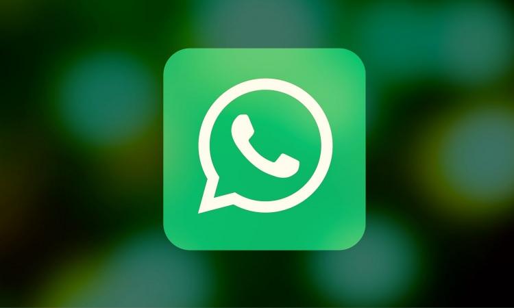 WhatsApp'a iOS'tan Android'e kolay taşıma özelliği geldi