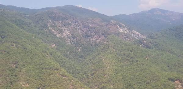 <p>Balıkesir'in Edremit ilçesinde Kazdağı Milli Parkı’nda çıkan, havadan ve karadan müdahaleyle 26 saatte söndürülen yangında, zarar gören bölge, havadan görüntülendi.</p>