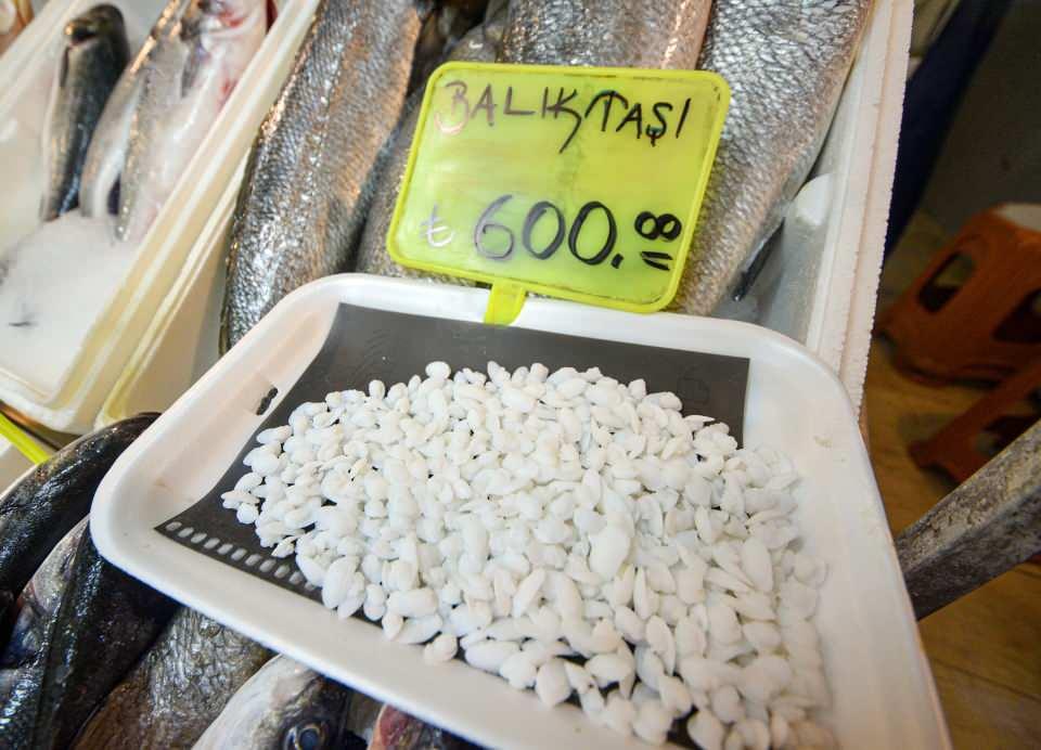 <p>Av yasağının sona ermesiyle tezgahlarda çeşitliliği artan balık türleri arasında yer alan ve kilosu 70 liradan satılan karakulak, baş bölümündeki iki taşın şifalı olduğuna inananlardan yoğun ilgi görüyor. Karakulakın yanı sıra granyoz ve eşkina balığının kafasında yer alan taşın kilosu ise 600 liradan alıcı buluyor.</p>
